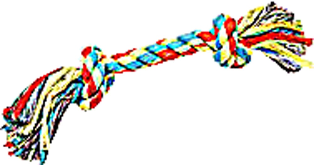Dogs Mating and Knotting