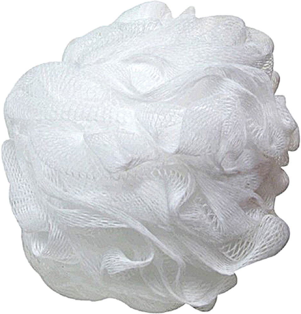 Body Sponge