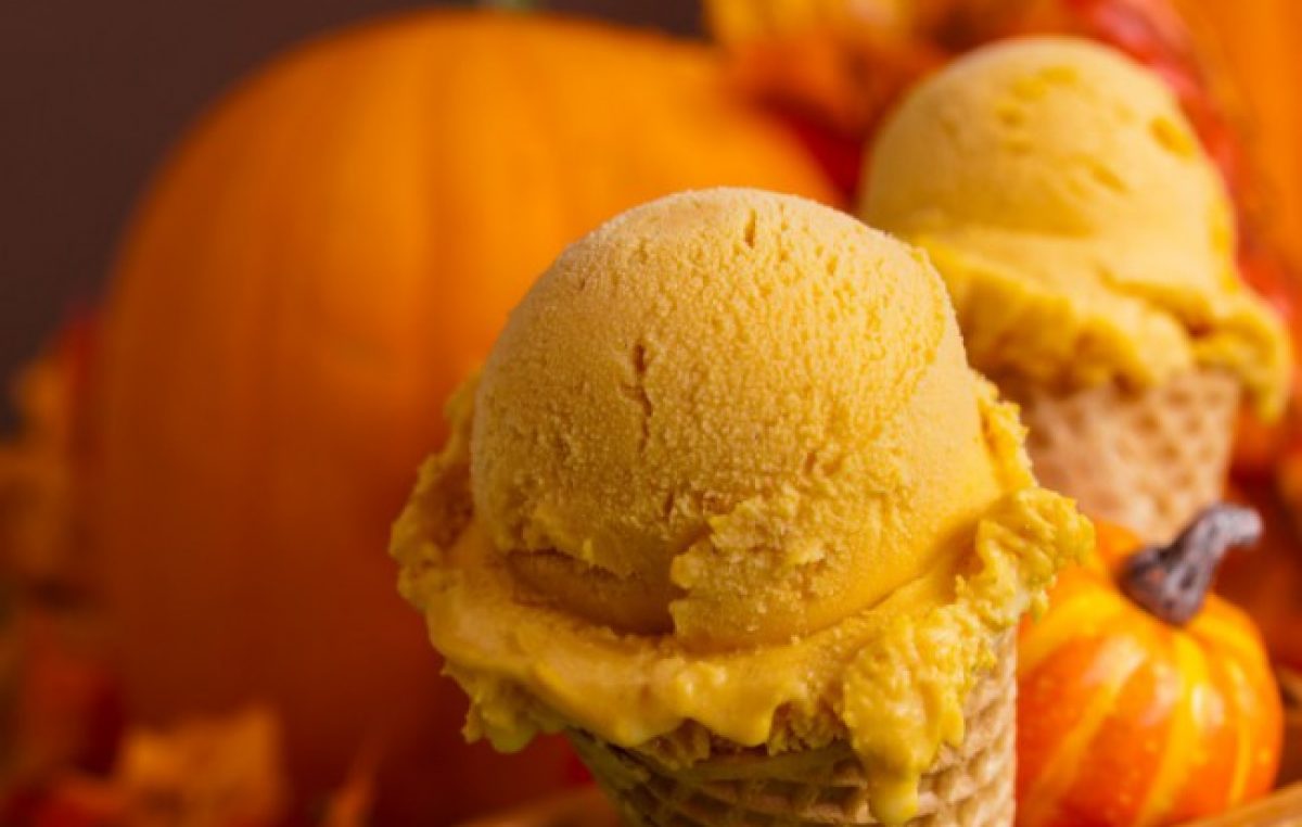 Pumpkin Ice Cream Recipe Blog