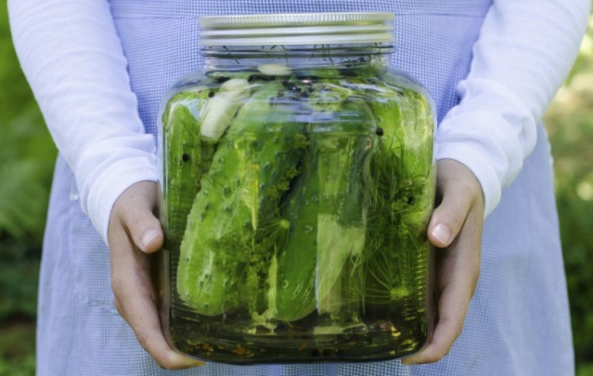 ProbioticRich Pickled Cucumbers Blog