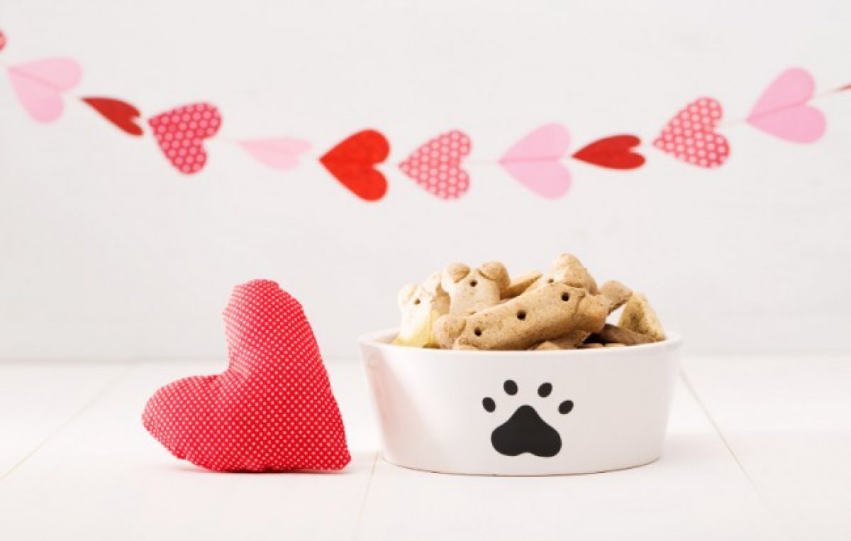 Valentine’s Day Dog Treats | Vitacost.com Blog