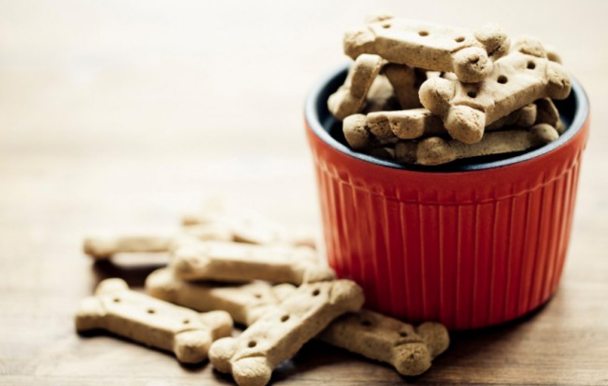 Homemade Paleo Dog Treats Recipe Blog