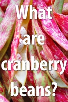 Cranberry Beans Benefits