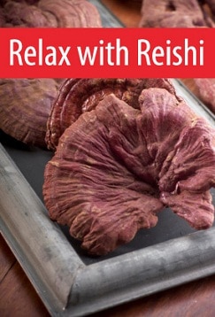 reishi mushroom benefits