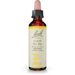 Bach Original Flower Remedy Dropper Gorse Flower Essence