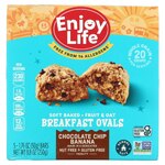 Enjoy Life Soft-Baked Breakfast Fruit & Oat Ovals Chocolate Chip Banana