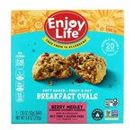 Enjoy Life Soft Baked-Fruit & Oat Breakfast Ovals Berry Medley