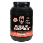 Healthy'N Fit Muscular Weight Gain v3.0 Extreme Vanilla