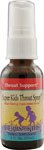 Herbs For Kids Super Kid's Throat Spray ™ Peppermint