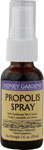 Honey Gardens Propolis Spray Herbal Supplement