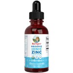 MaryRuth's Organics Ionic Zinc Liquid Drops Unflavored