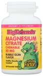 Natural Factors BigFriends® Magnesium Citrate Chewable Bubble Gum