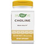 Nature's Way Choline