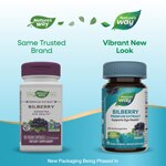 Nature's Way Premium Bilberry Extract - Promotes Eye Health