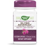 Nature's Way Premium Extract Silybin Advanced from Milk Thistle