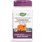 Nature's Way Premium Extract Turmeric - Max Potency