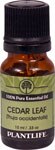 Plantlife 100% Pure Essential Oil Cedar Leaf