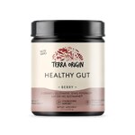 Terra Origin Healthy Gut Berry