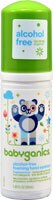 Babyganics Alcohol Free Foaming Hand Sanitizer Fragrance Free