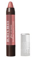 Burt's Bees 100% Natural Moisturizing Gloss Lip Crayon Outback Oasis