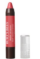 Burt's Bees 100% Natural Moisturizing Lip Crayon Niagara Overlook