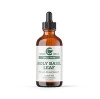 Cedar Bear Holy Basil