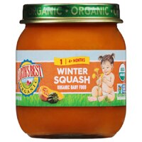 Earth's Best Organic Stage 1 Baby Food Winter Squash