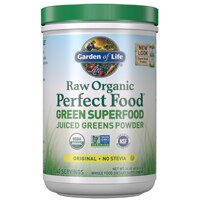 Garden of Life RAW Organic Perfect Food® Green Super Food