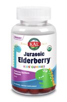 KAL Jurassic Elderberry™ Kids Gummies Berry