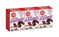 Made In Nature Plump & Rich Organic Raisins