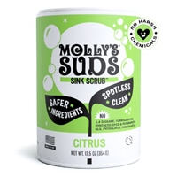 Molly's Suds Swim Laundry Detergent, 16 fl oz - Foods Co.