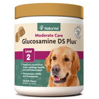 NaturVet Moderate Joint Care Glucosamine DS Plus Level 2 for Dogs & Cats