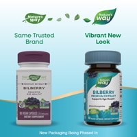 Nature's Way Premium Bilberry Extract - Promotes Eye Health