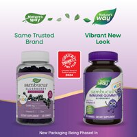 Nature's Way Sambucus Immune Gummies for Kids - Elderberry Vitamin C & Zinc