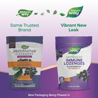 Nature's Way Sambucus Vitamin C Lozenges with Elderberry - Tropical Flavored