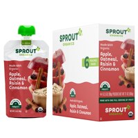 Sprout Organic Baby Food Stage 2 Apple Oatmeal Raisin with Cinnamon Pouch