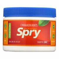 Spry Dental Defense Mints Cinnamon