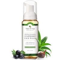 850037825745 - Tree to Tub  Balancing Tea Tree Face Wash for Oily Skin -- 4 fl oz