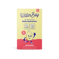 WaterBoy Daily Hydration Watermelon