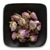 Frontier Co-Op Pink Rosebuds & Petals