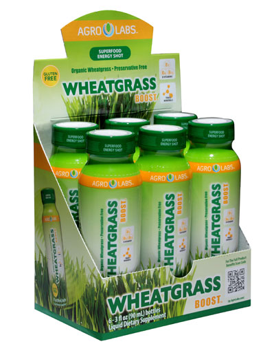 Agro Labs Wheatgrass Boost -- 6 Bottles