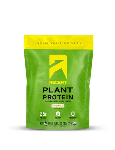 Ascent Organic Plant Protein Vanilla Bean
