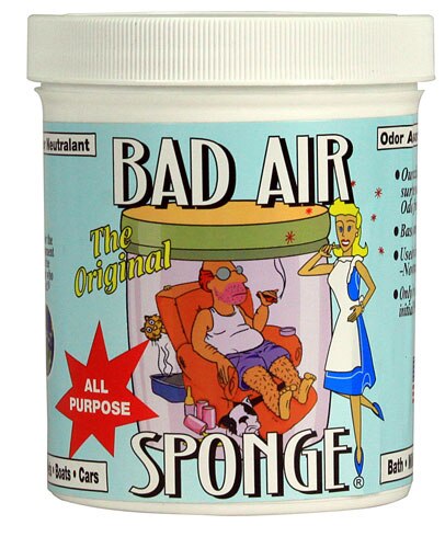 Bad Air Sponge® The Original -- 1 Container