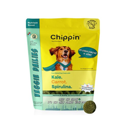 Chippin Veggie Dailies with Vegan Spirulina Protein -- 5 oz