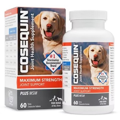 Cosequin Joint Health Supplement Plus MSM for Dogs