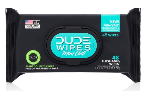 DUDE Wipes XL Flushable Wipes Mint Chill