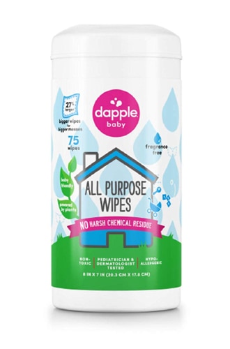 Dapple All Purpose Wipes Fragrance Free -- 75 Wipes