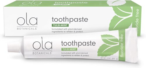 Dr. Mercola Premium Dental Care Toothpaste with Tulsi Mint