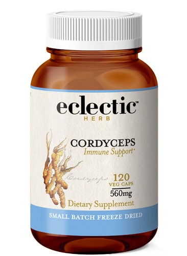 Eclectic Institute Cordyceps -- 120 Vegetarian Capsules