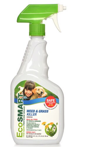 EcoSmart Organic Weed and Grass Killer -- 24 fl oz